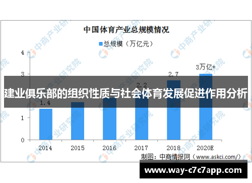 建业俱乐部的组织性质与社会体育发展促进作用分析 建业俱乐部的组织性质与社会体育发展促进作用分析