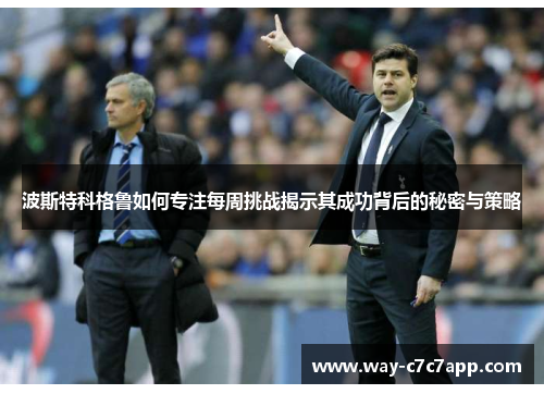 波斯特科格鲁如何专注每周挑战揭示其成功背后的秘密与策略