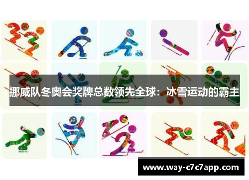 挪威队冬奥会奖牌总数领先全球：冰雪运动的霸主