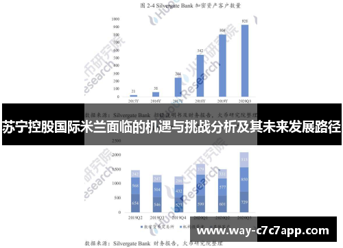 苏宁控股国际米兰面临的机遇与挑战分析及其未来发展路径