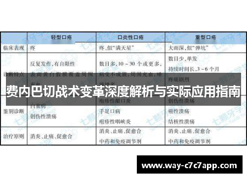 费内巴切战术变革深度解析与实际应用指南 费内巴切战术变革深度解析与实际应用指南